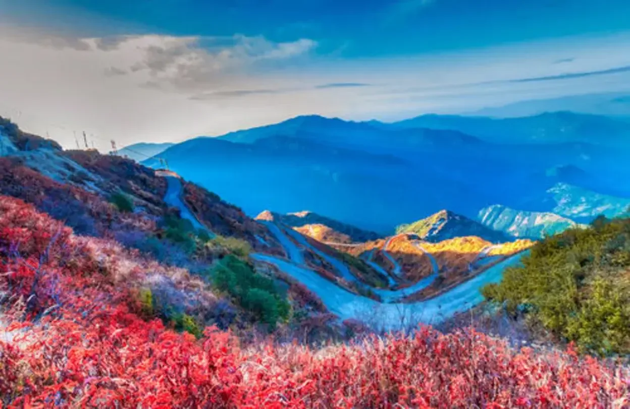 One-Day Trip to Zuluk and Rongli from Gangtok — Gangtok