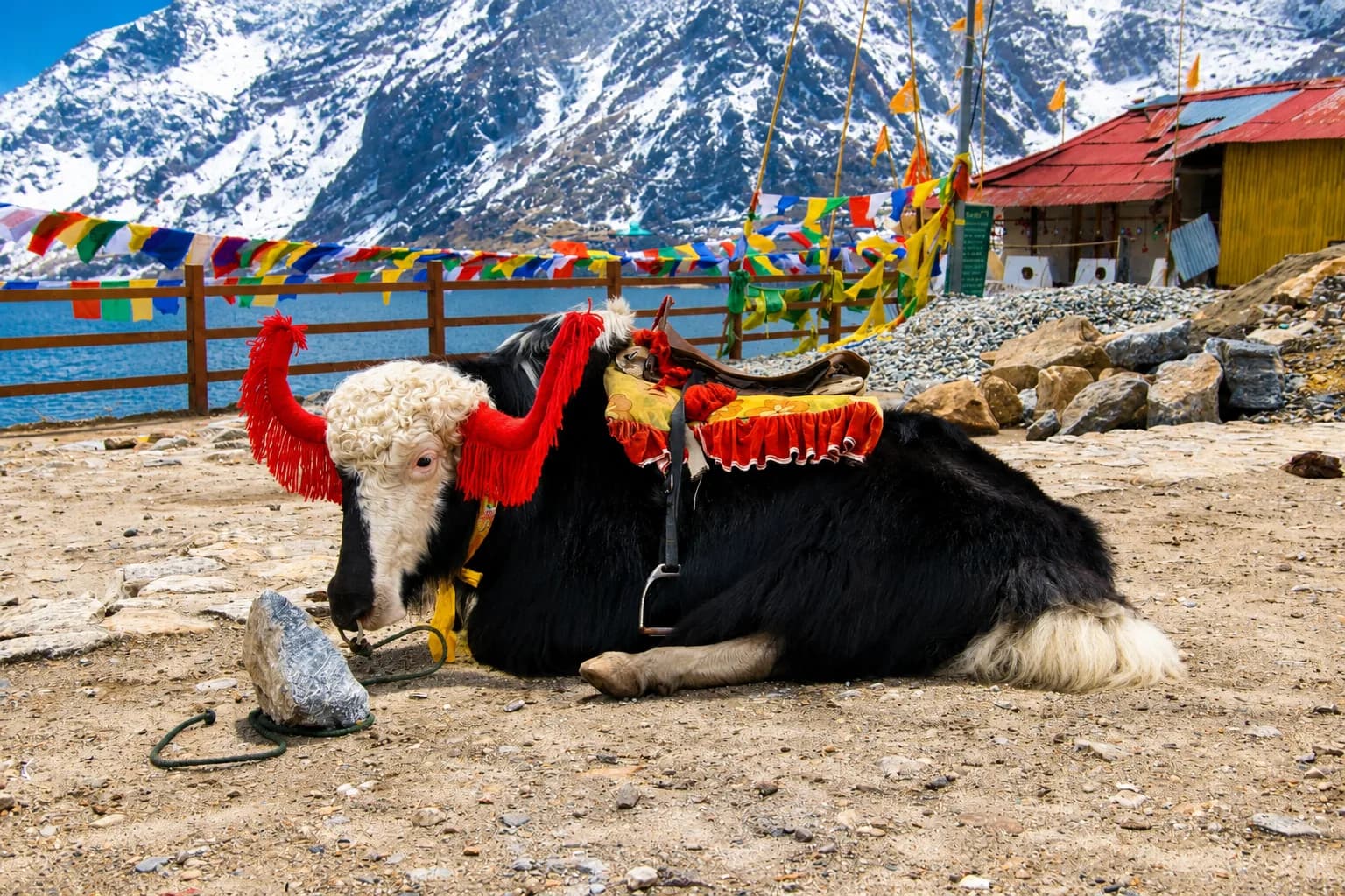 Shared Trip to Nathula Pass, Tsomgo and Baba Mandir — Gangtok