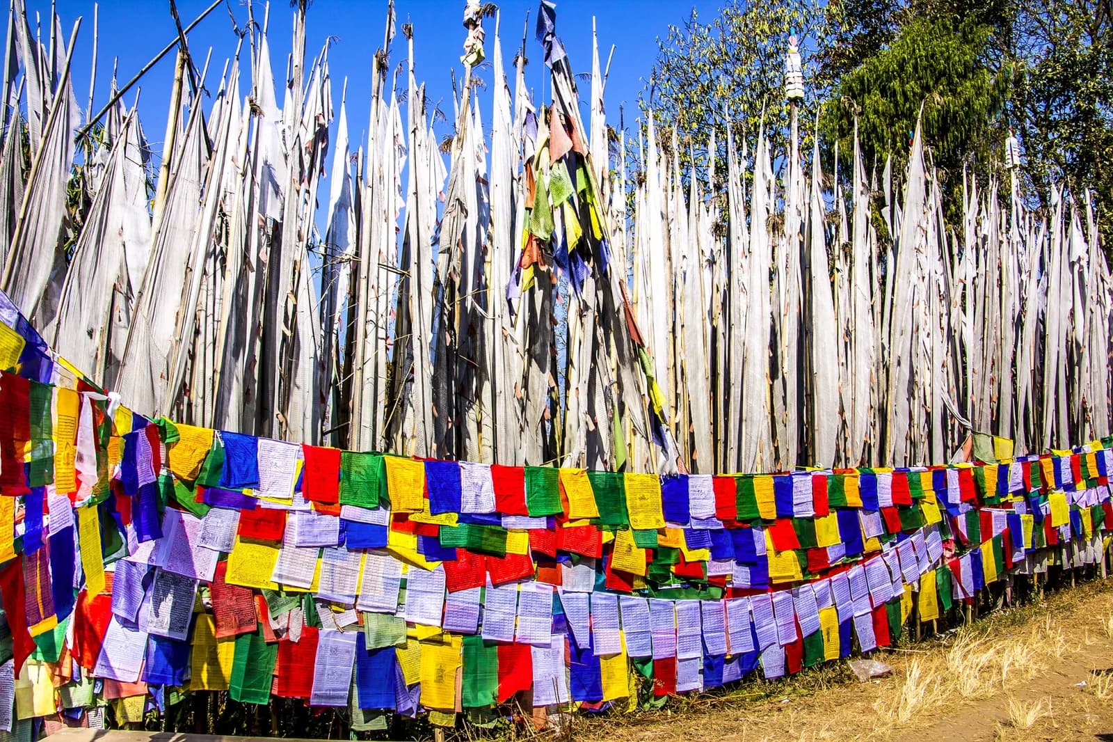 Bagdogra/NJP to Pelling 1N2D Private Cab with Sightseeing