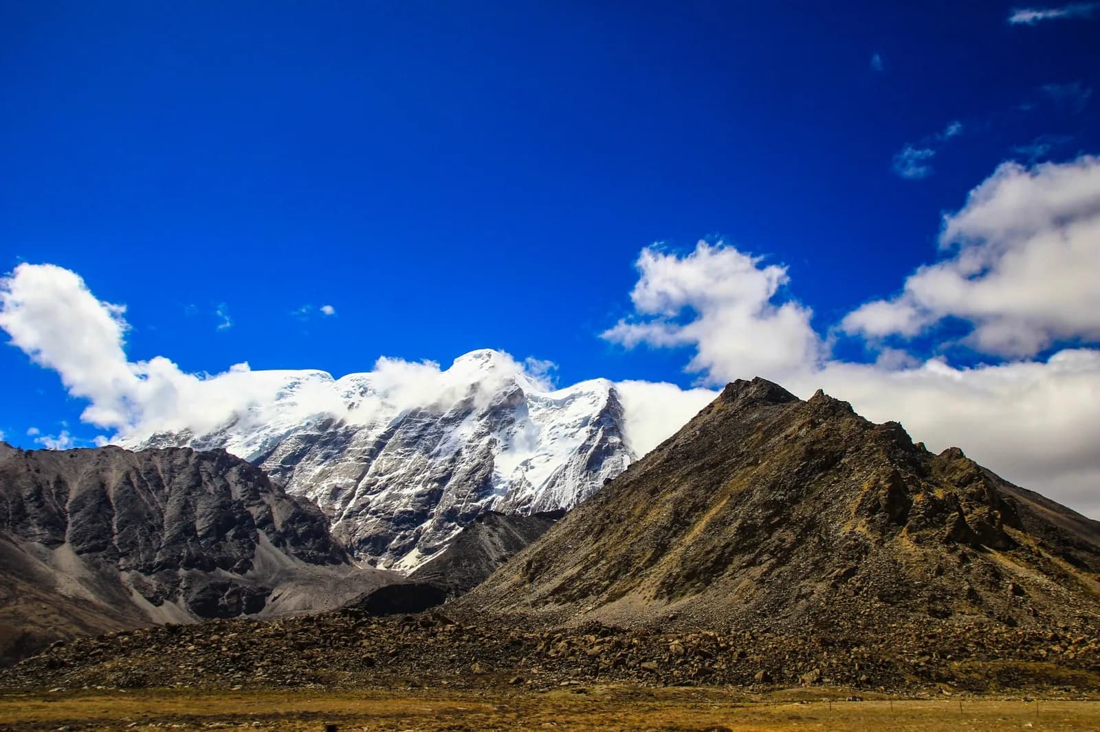 3N4D Shared Tour To Gurudongmar & Yumthang with Homestay & Meals