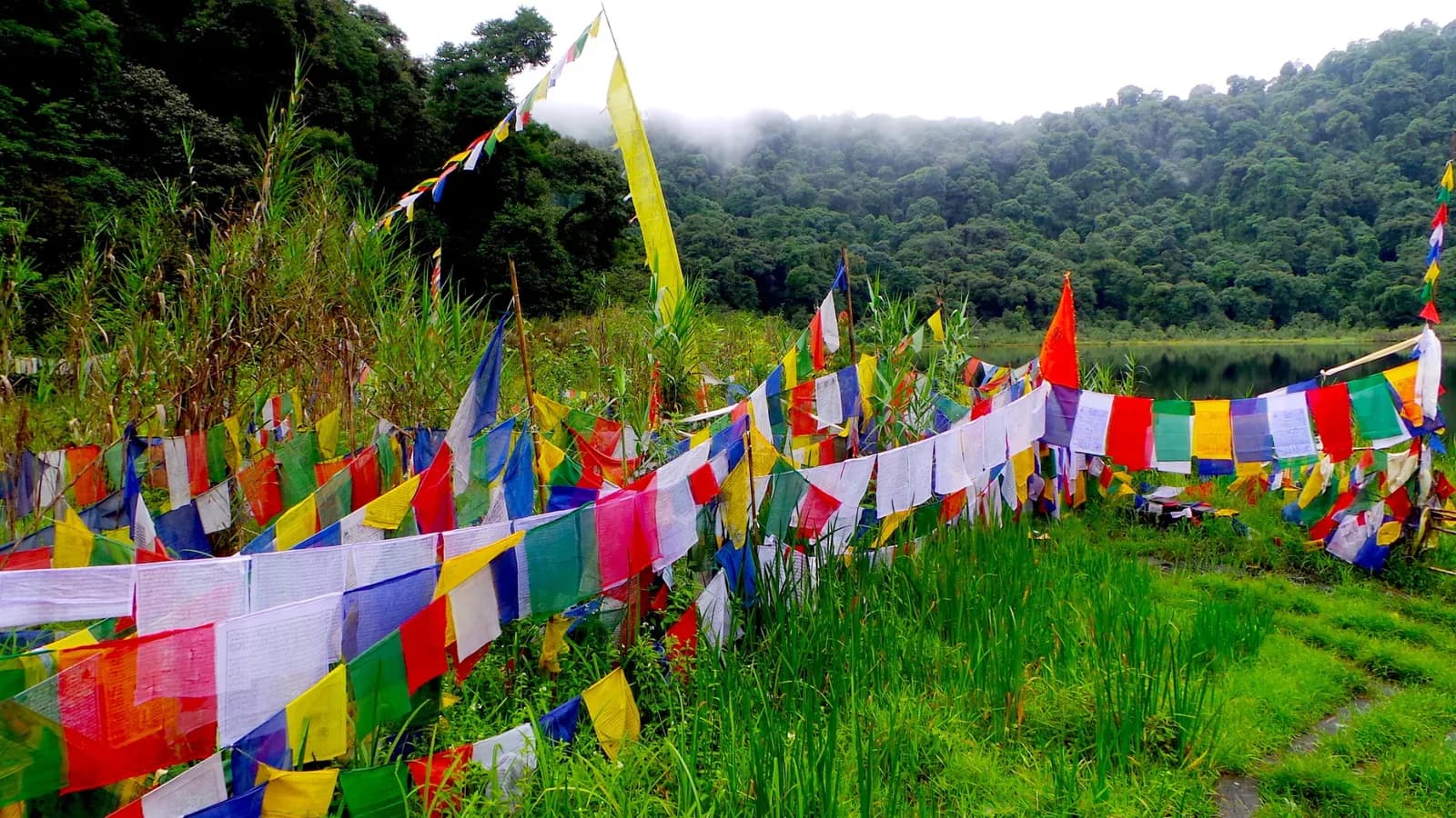 Bagdogra/NJP to Pelling 2N3D Private Cab, Khecheopalri Lake