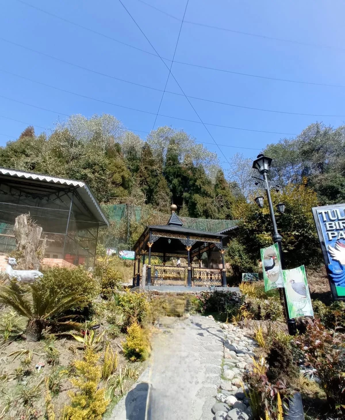 Darjeeling to Pelling 1N2D Private Cab with Sightseeing