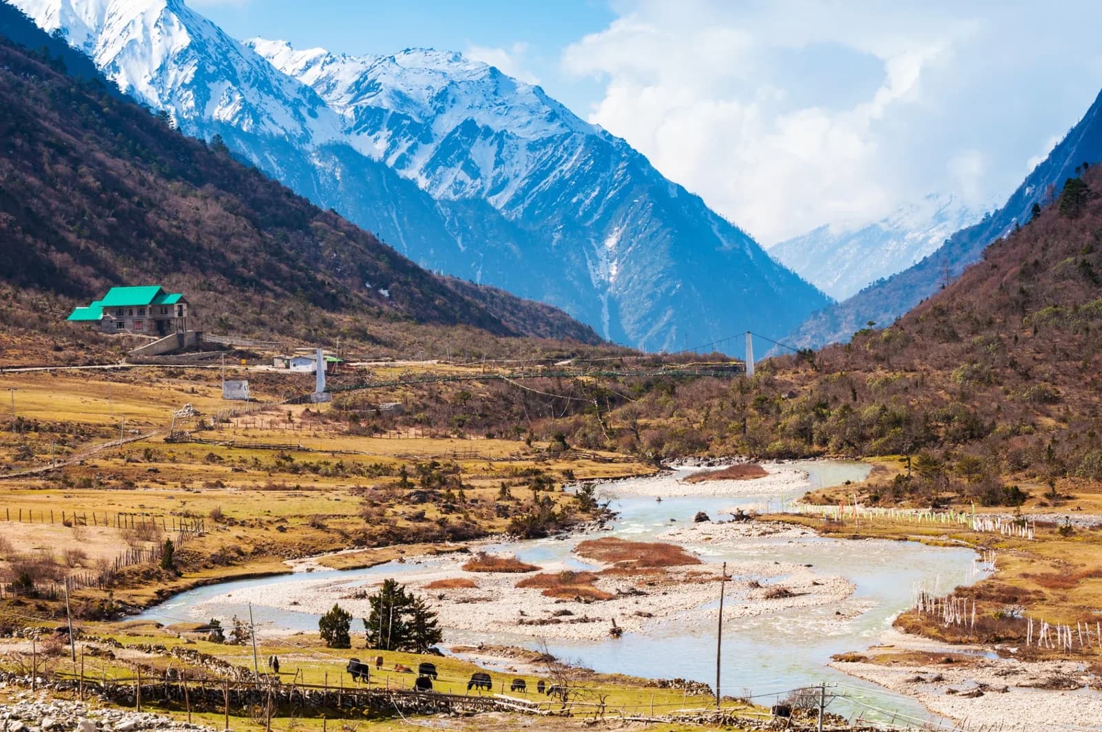 3N4D Shared Tour To Gurudongmar & Yumthang with Homestay & Meals